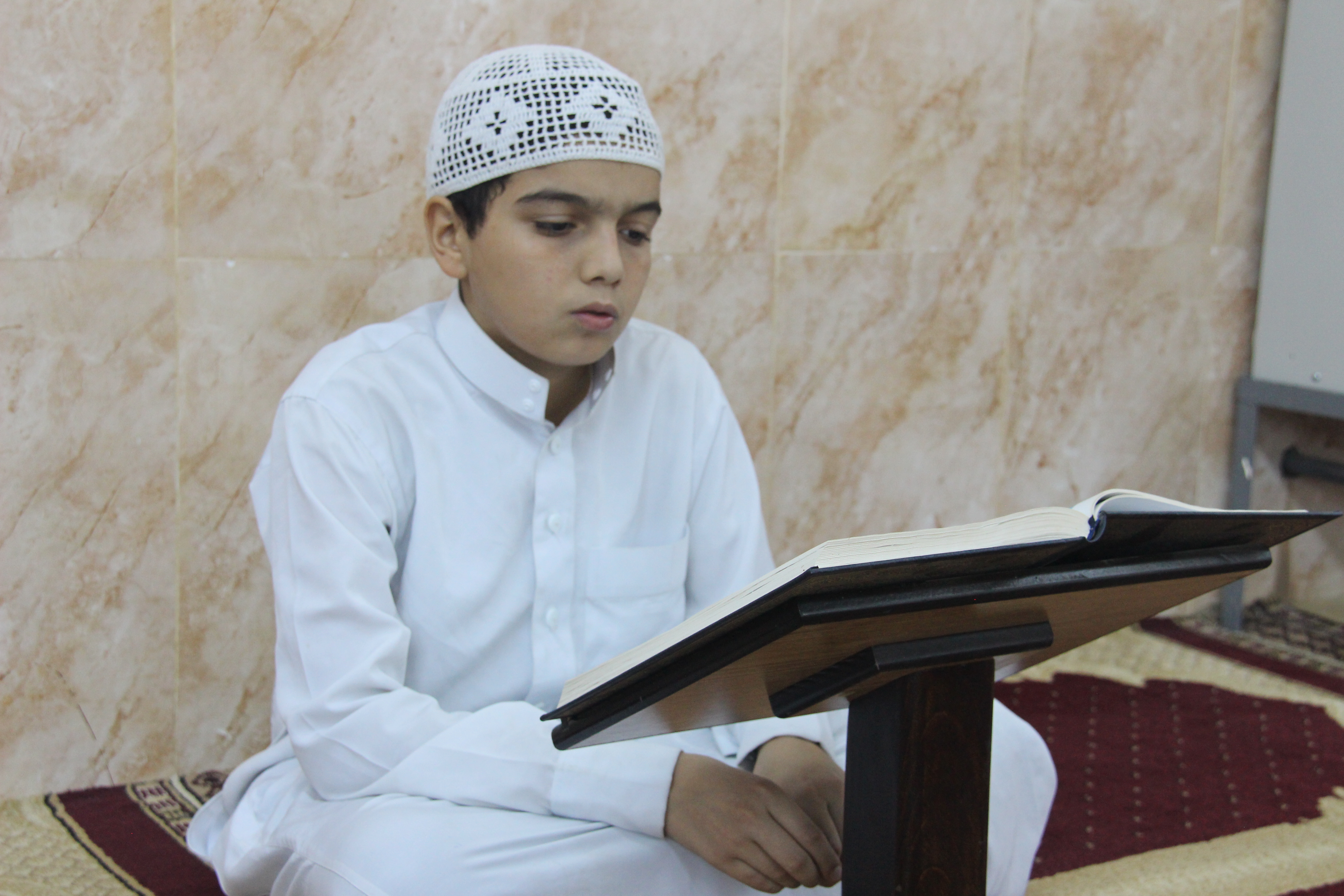 حلقات البراعم 